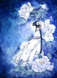 法则之眼